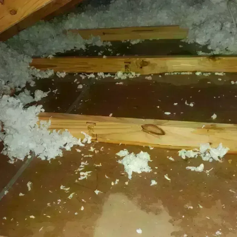 Attic Water Damage in Mount Holly, NC